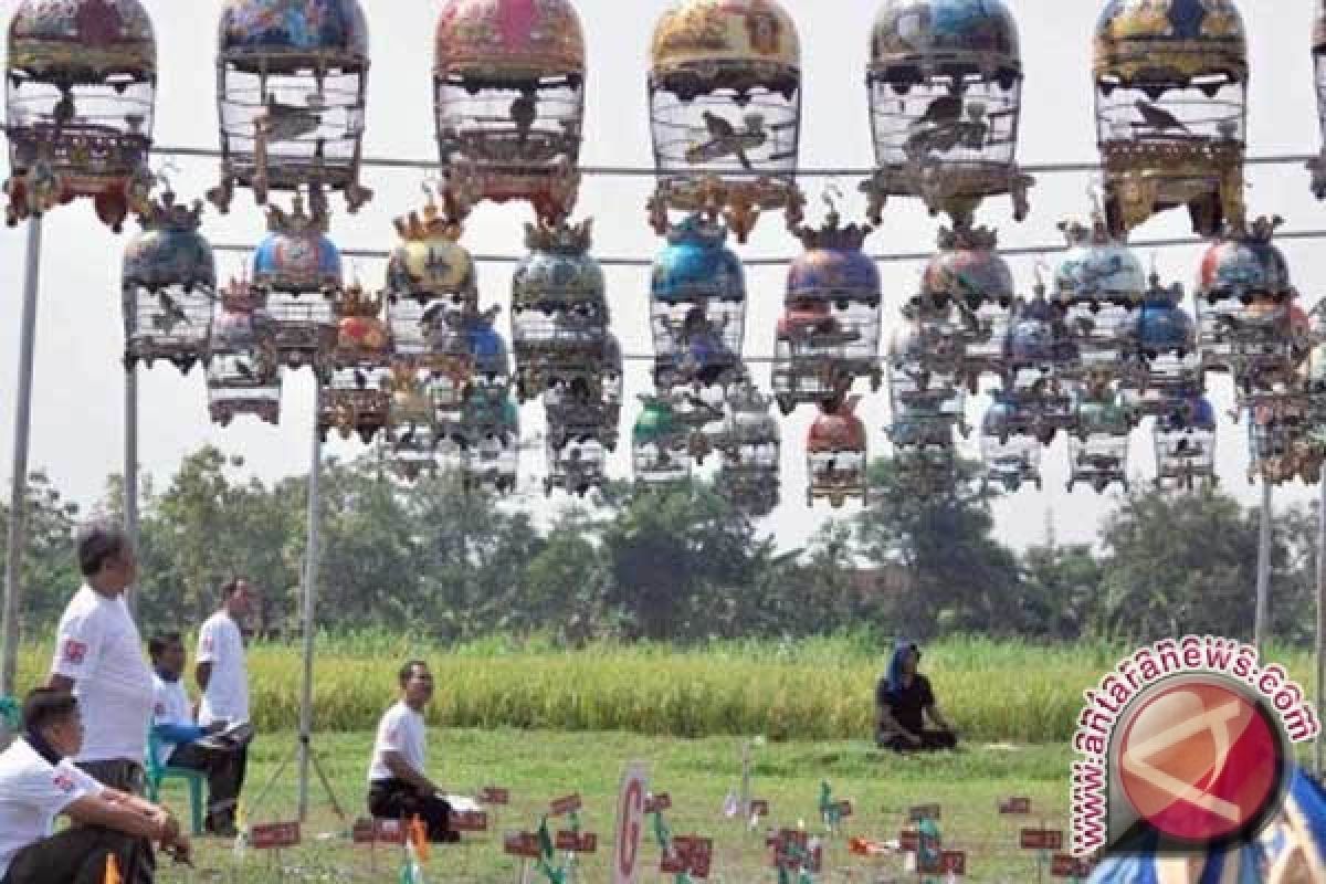 Lomba burung berkicau perebutkan Piala Paku Alam 