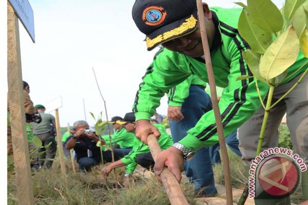  Lanal dan Pemko Lhokseumawe Tanam 10.000 Manggrove