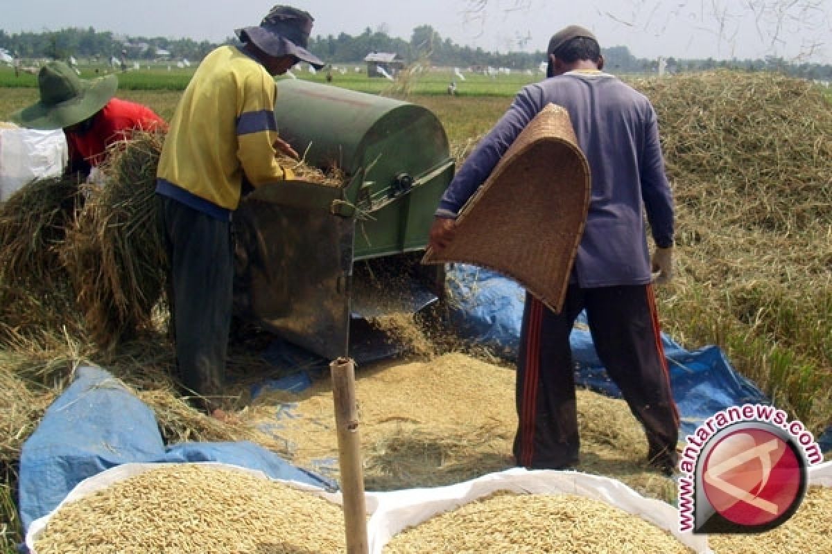 Petani Bangkiling Ikuti Bintek Alat Pertanian 