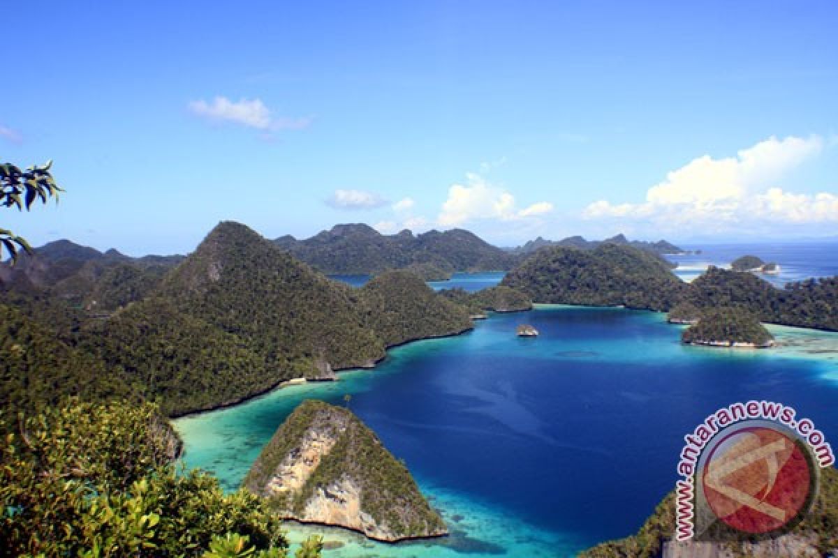 Raja Ampat`s endemic coral reefs well preserved