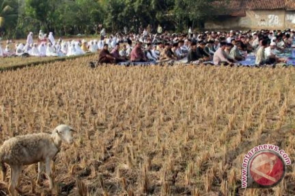  Ratusan Warga Aceh Besar Shalat Minta Hujan