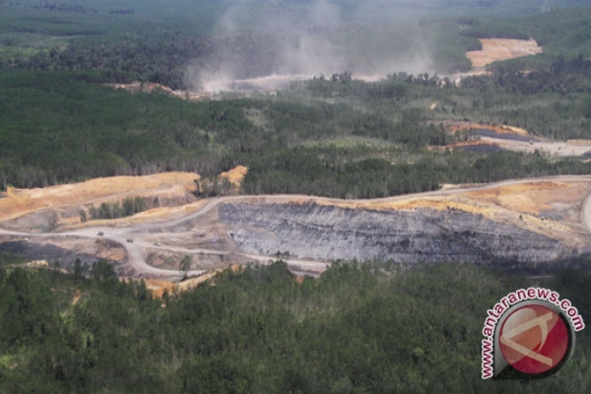 Peneliti: Perusahaan Tambang Ancaman Kelestarian Hutan Malinau 