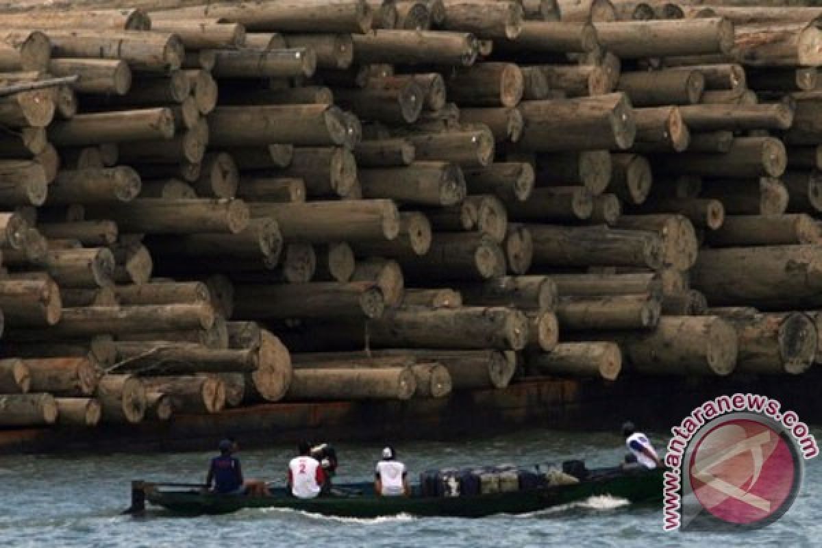 Kemenperin diseminasi teknologi pelestarian  bambu dan kayu