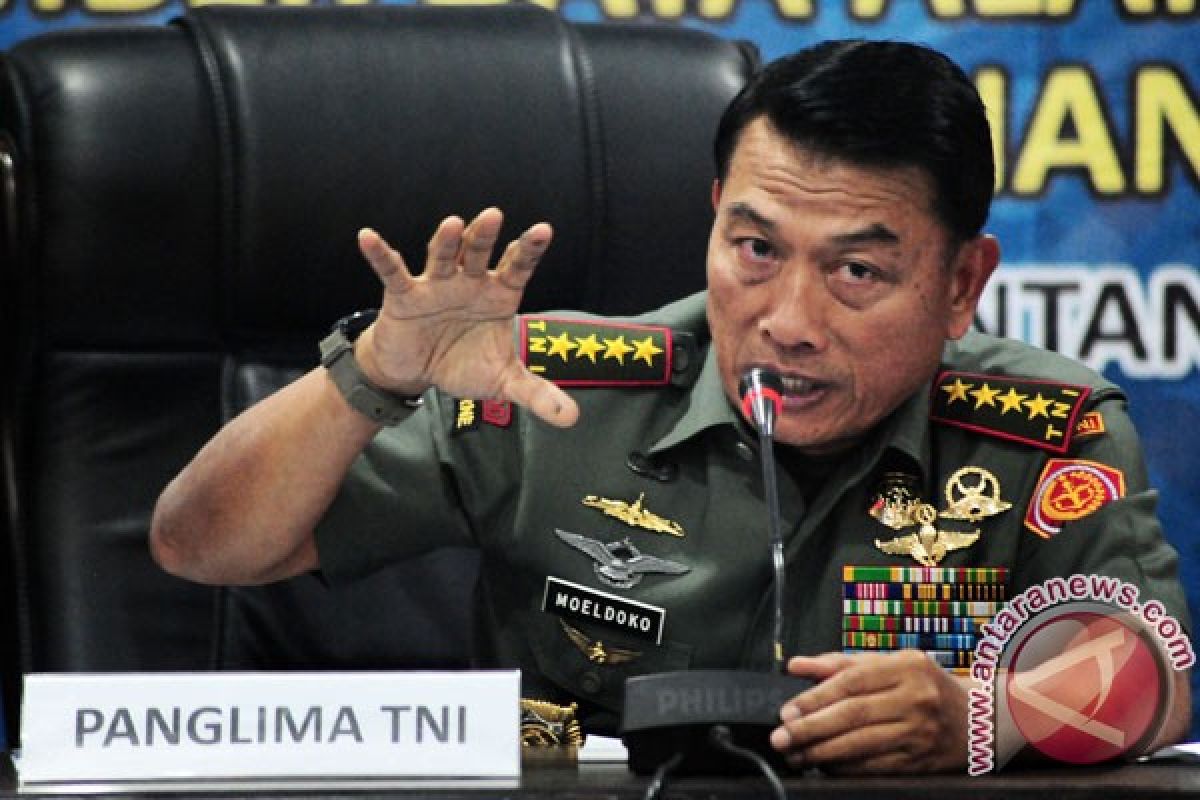 Indonesia currently needs no aircraft carrier: TNI Chief