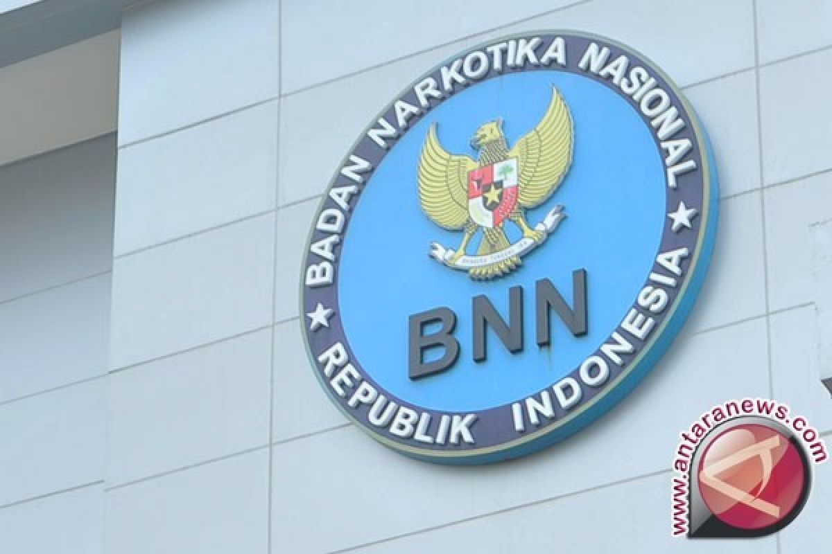 BNN-Pemkab Bireuen bahas alih lahan ganja