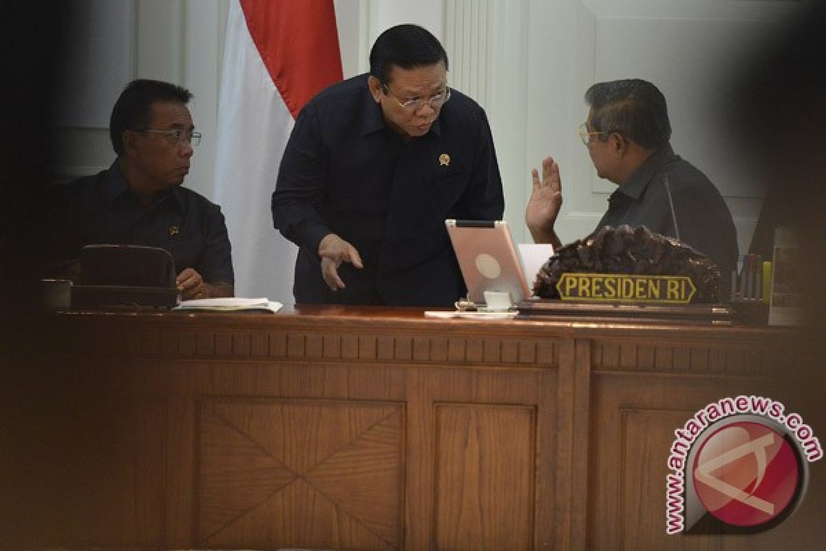 Pemerintah dorong revisi UU Perlindungan Anak