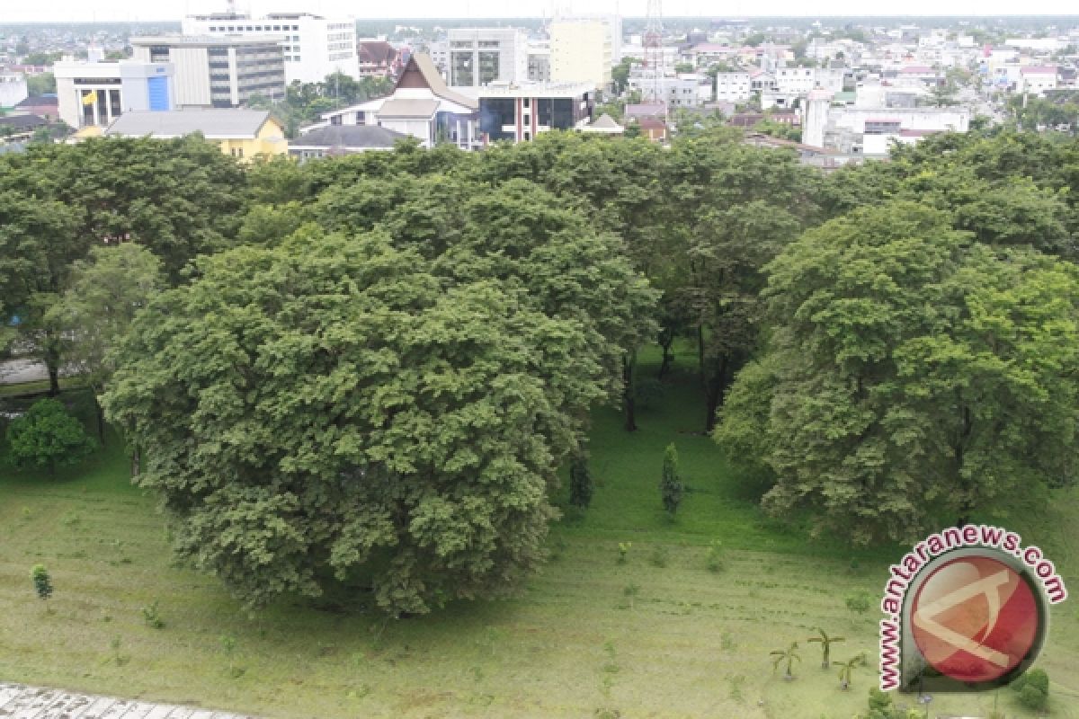 Banjarmasin Inginkan Hutan  Rambai 