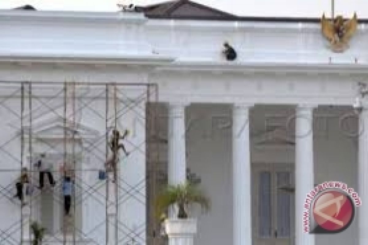 Istana bantah intervensi pilkada DKI