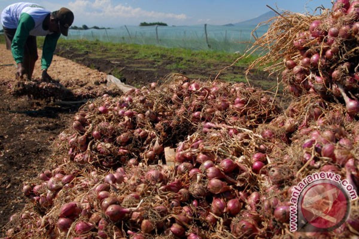 Perbankan belum dukung resi gudang hortikultura