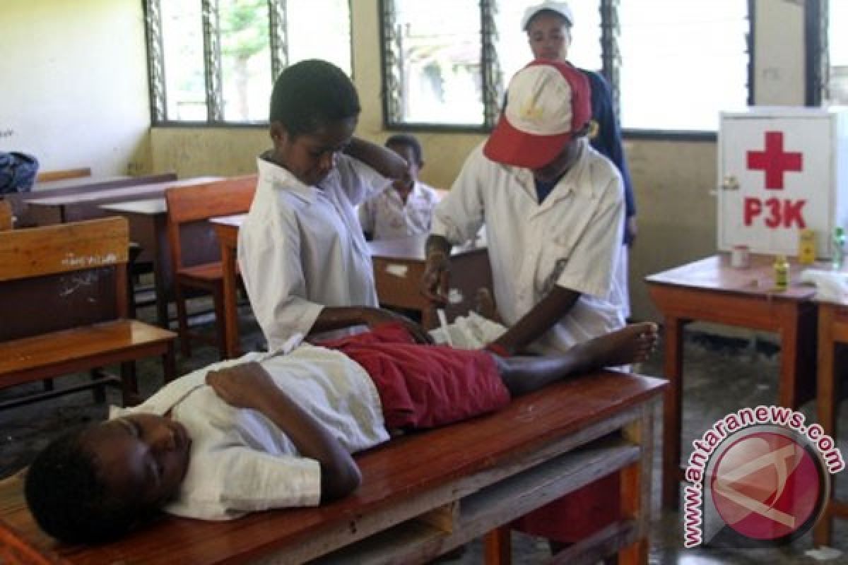 Dinkes sebut Merauke tertinggi kasus demam berdarah di Papua