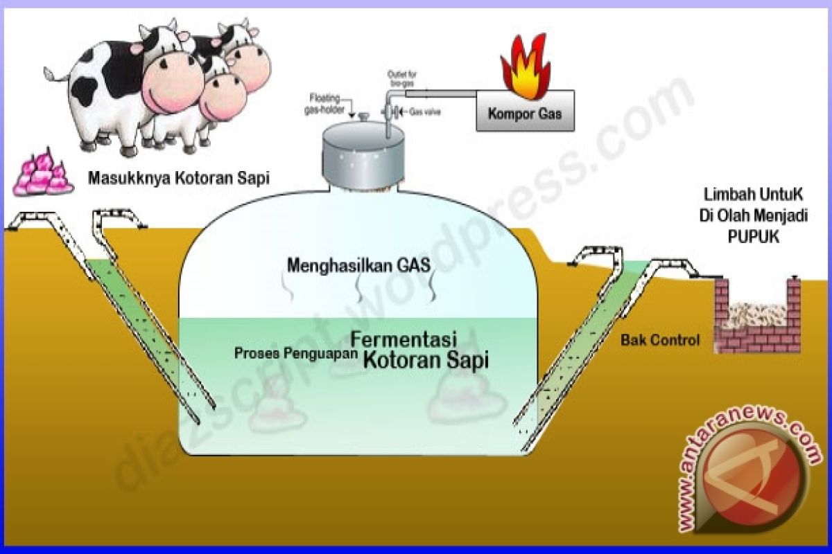 Kelompok Ternak Barut Dapat Bantuan Mesin Biogas 