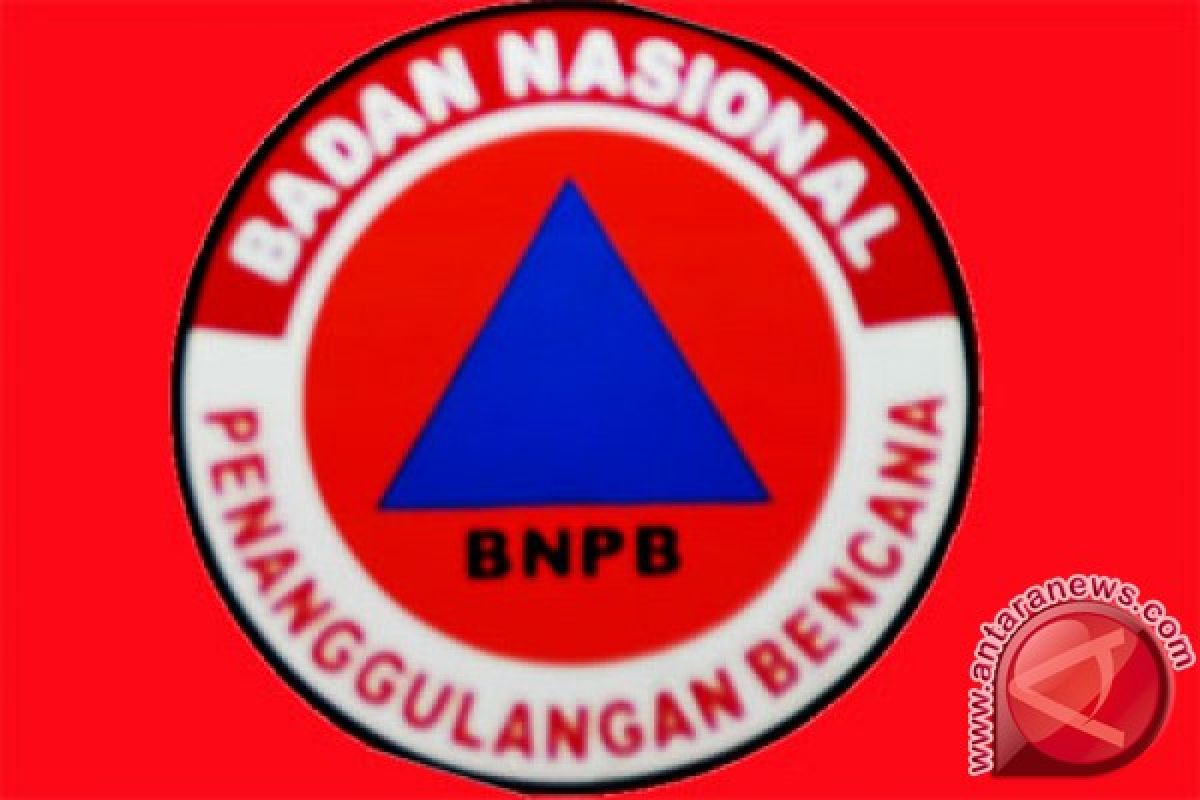 BNPB nyatakan Jambi siaga darurat