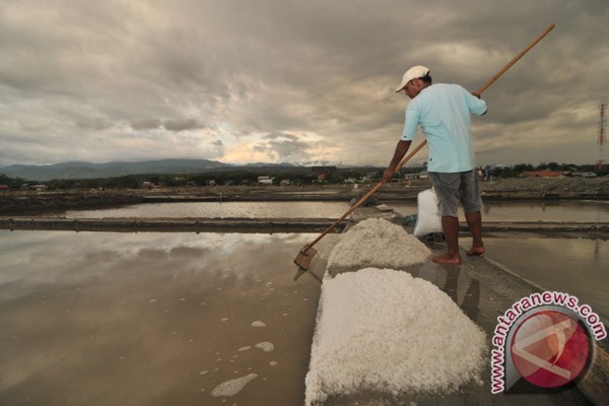 Menteri: sebenarnya kita surplus produksi garam