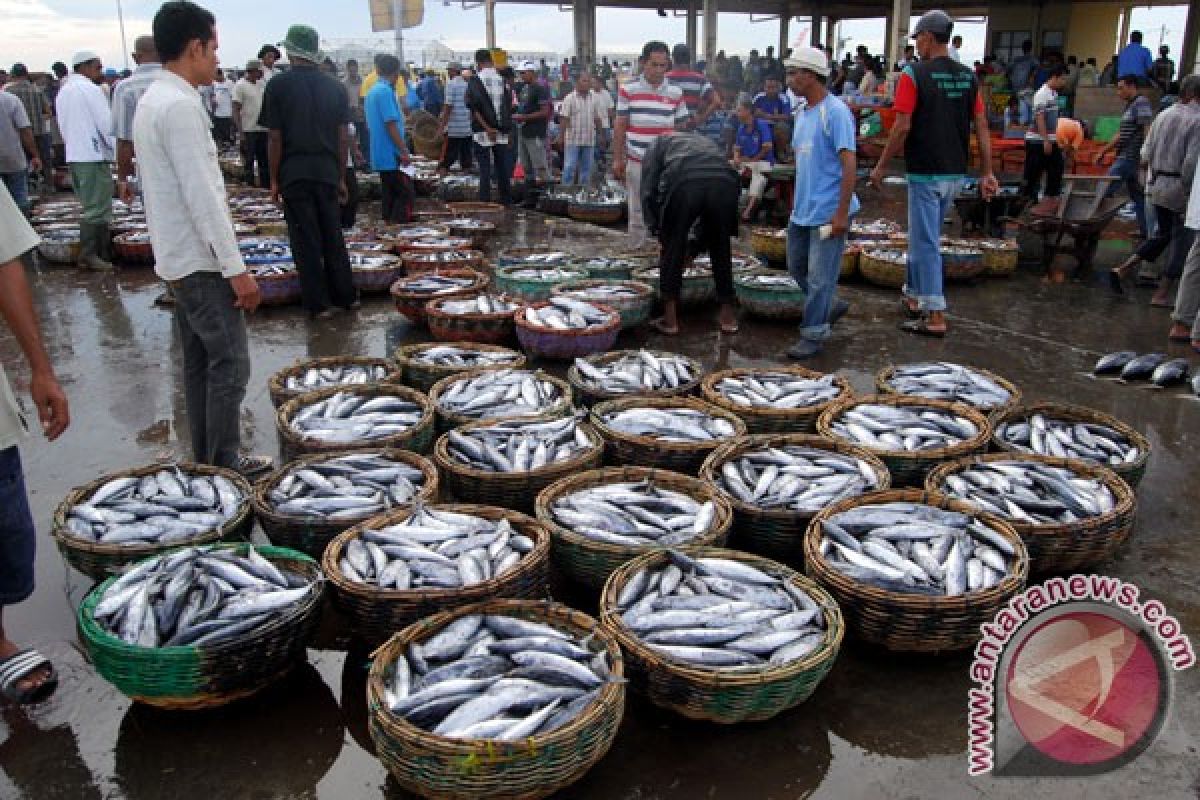 Indonesia government encourages fishermen to form business group