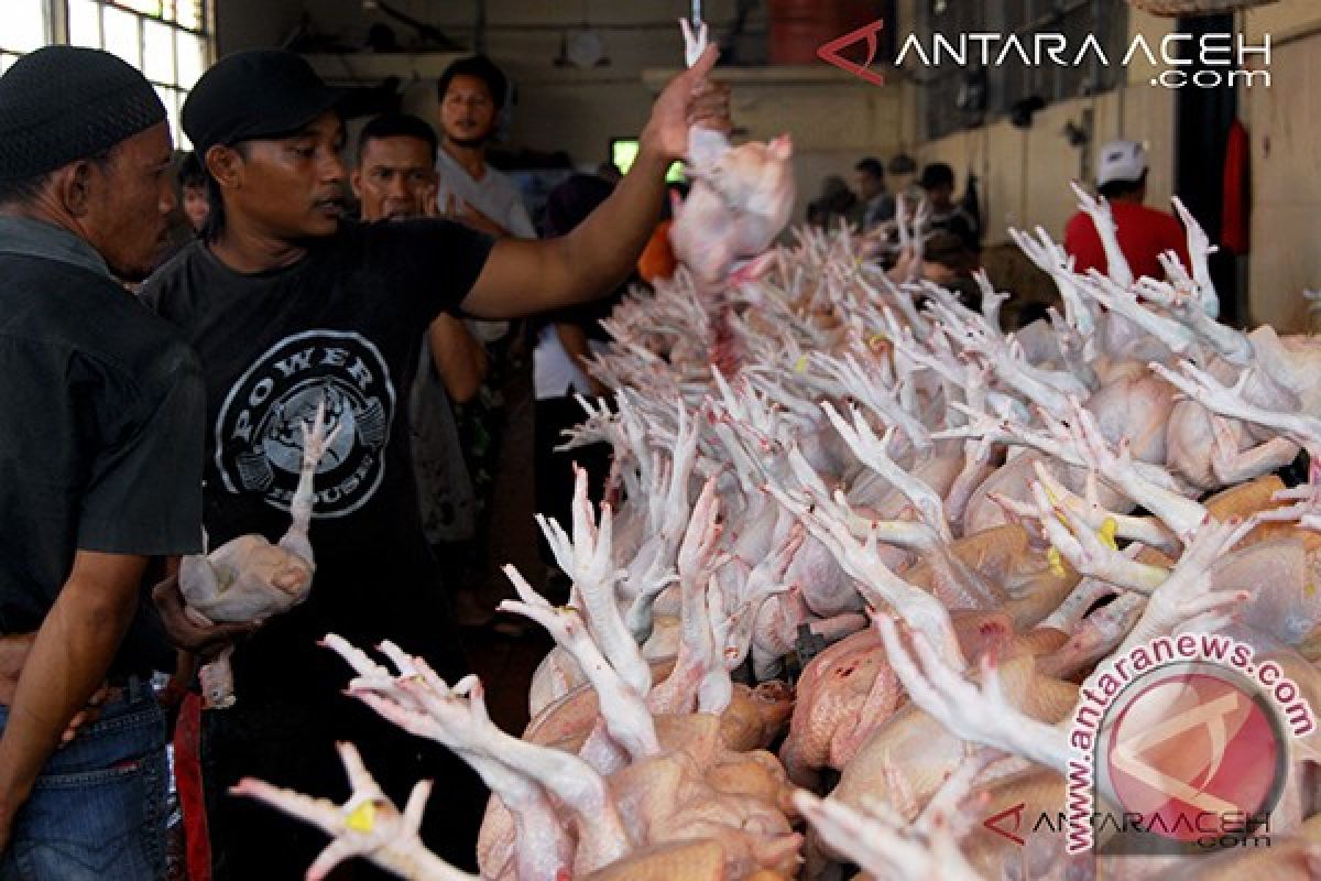 Harga ayam potong di Lhokseumawe masih tinggi