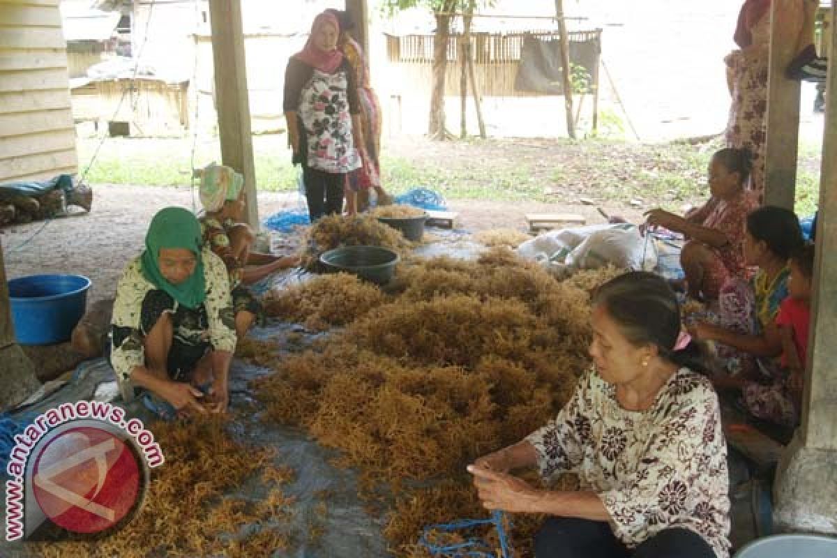 Cu Pammase Selamatkan "Pejuang Devisa" Bone 