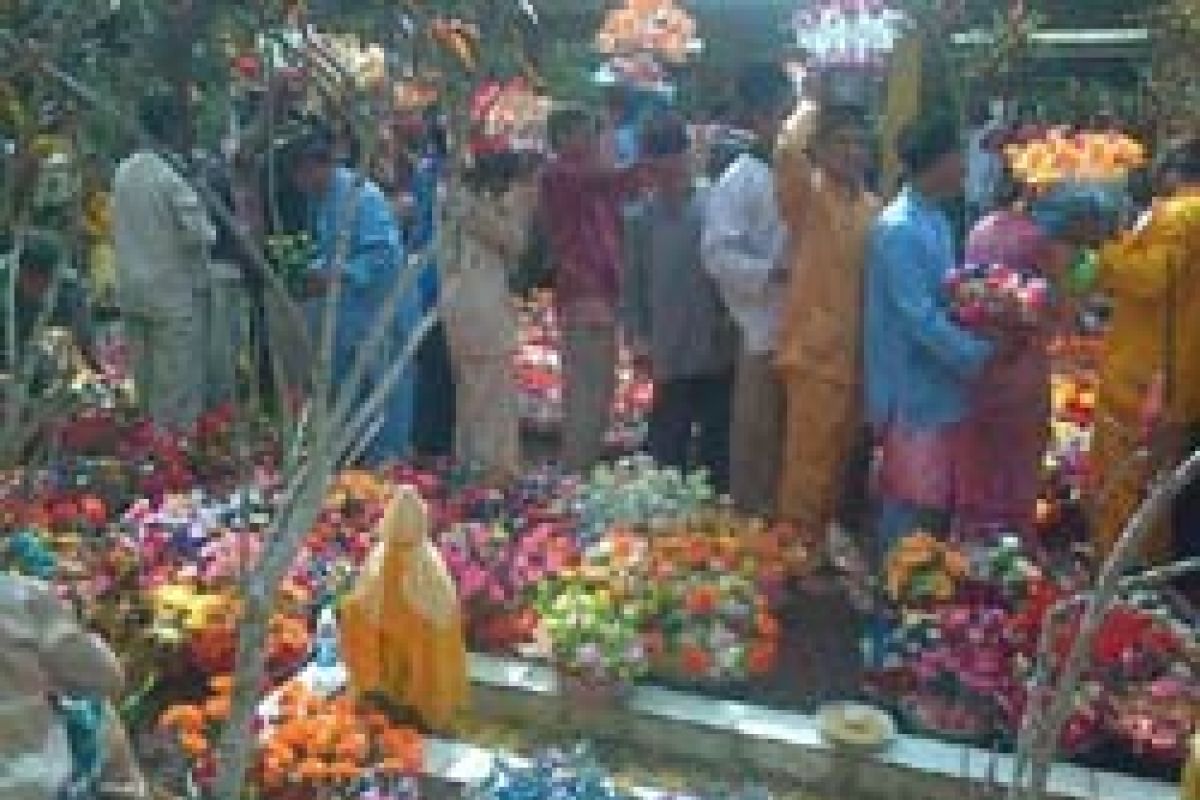 Ribuan Masyarakat Berkumpul di Areal Makam Bukit Batu