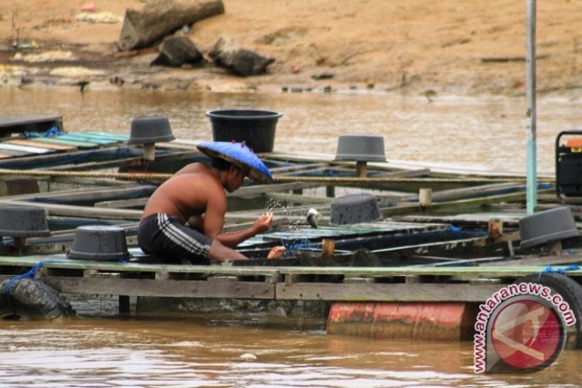 DKP Tenggarong Seberang Kenalkan SOP Budidaya Ikan