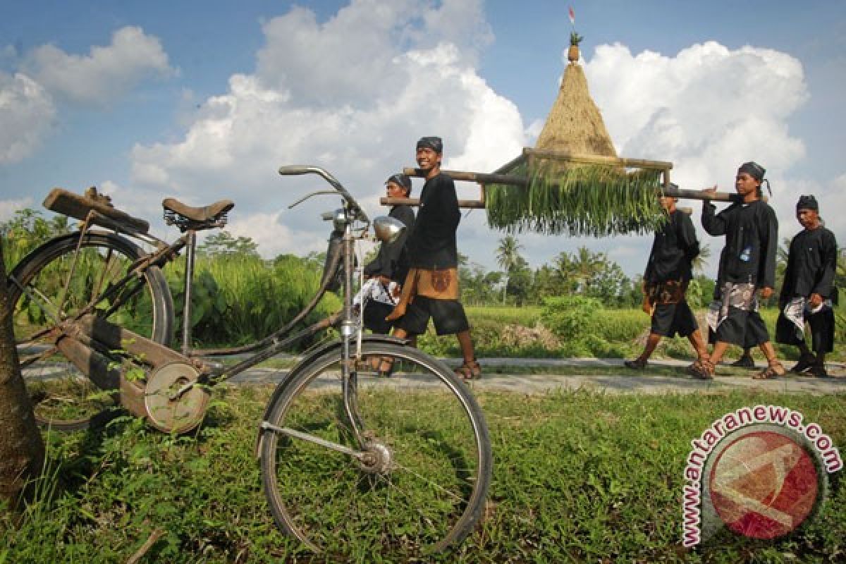 Yogyakarta tunda izin alih fungsi lahan persawahan