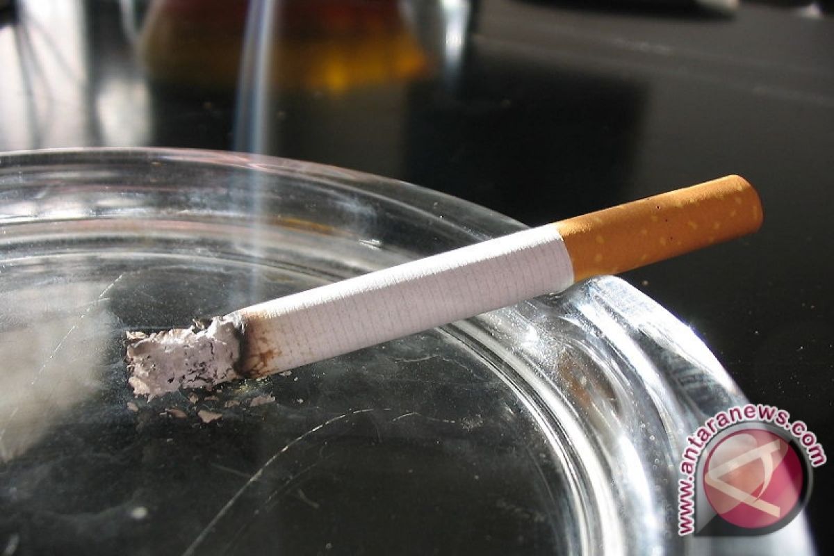 Penelitian: anak dari perokok berpeluang kerdil
