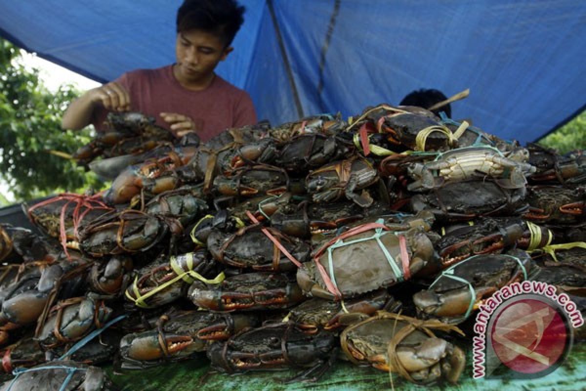 TNI AL gagalkan penyelundupan induk kepiting di Sebatik