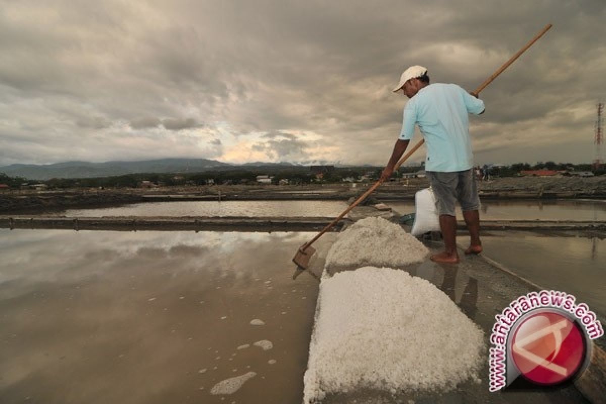 Menteri: Sebenarnya Kita Surplus Produksi Garam