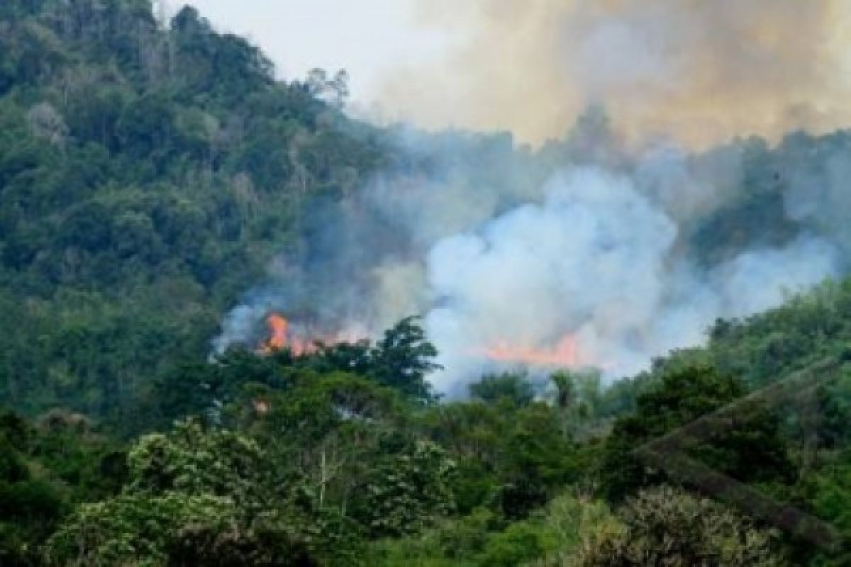 58 titik panas di Sumatera