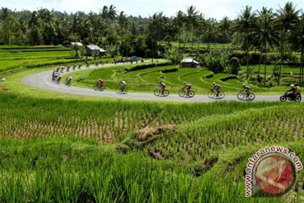 Tour de Singkarak ajang unjuk kekuatan bagi pebalap nasional