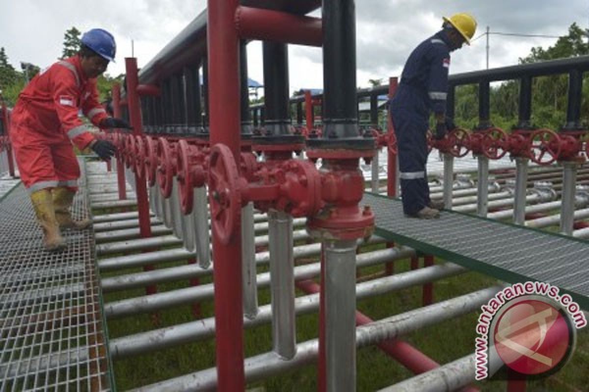 Pertamina EP gandeng PLN penuhi pasokan listrik Lapangan Klamono Papua