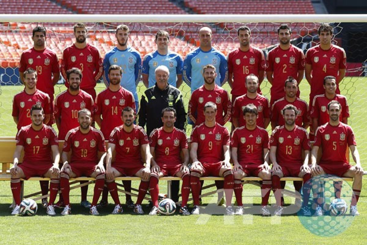 Prediksi Grup D Piala Eropa 2016, Spanyol juara