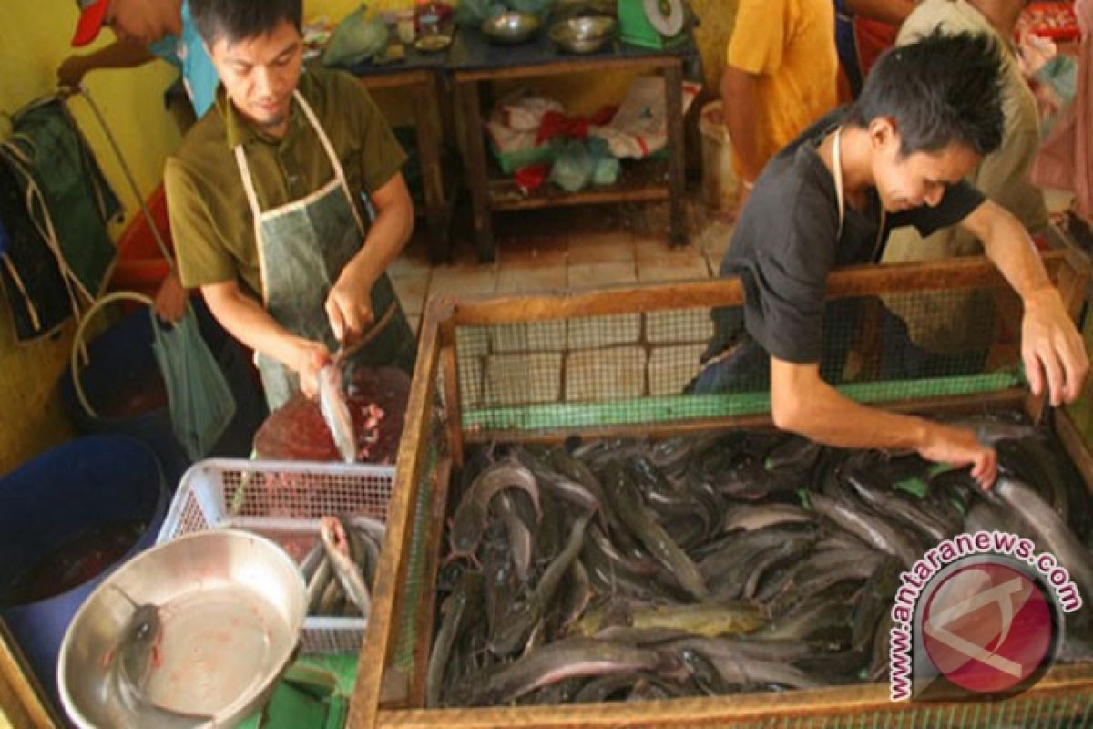  Pedagang Ikan Air Tawar Andalkan Pasokan Lokal