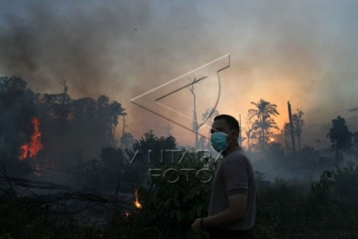 Polda Riau kirim Tim Direskrinsus untuk selidiki kebakaran hutan gambut Maranti
