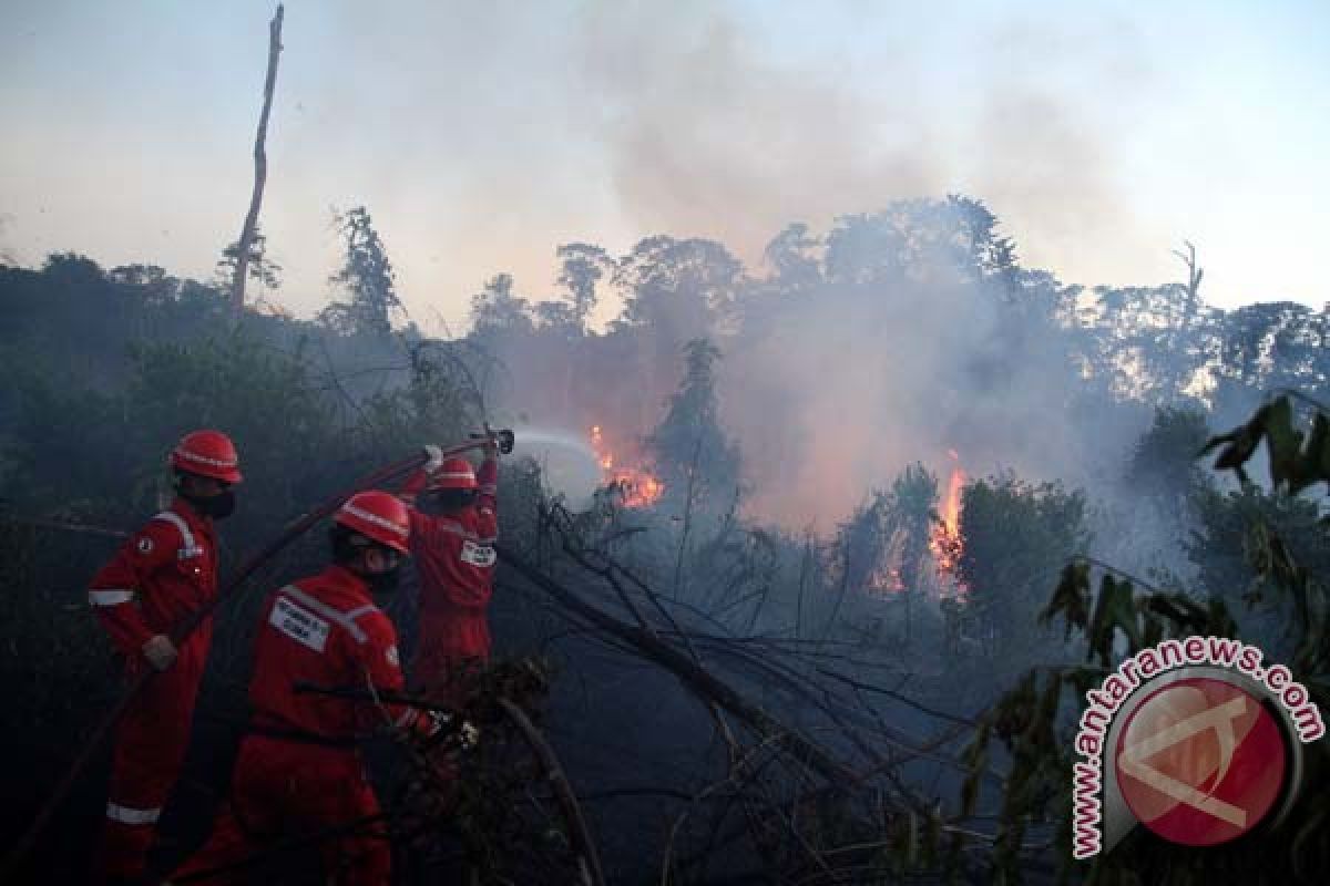 KLH telusuri kebakaran lahan libatkan tiga perusahaan