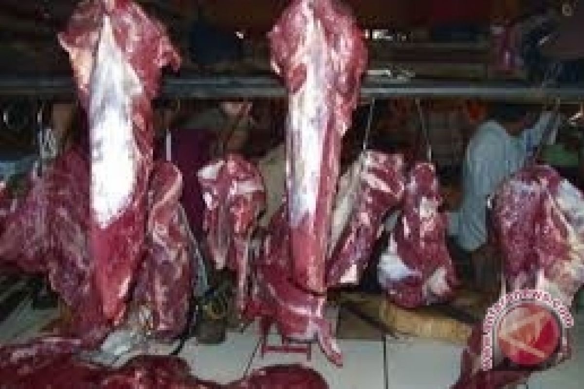Harga daging di Manado stabil