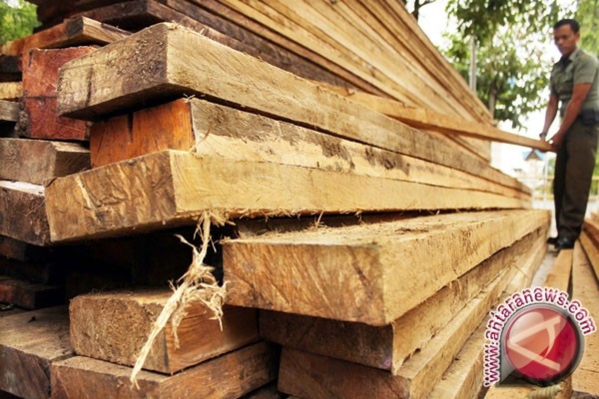 Gubernur apresiasi polhut tangkap 10 truk kayu ilegal
