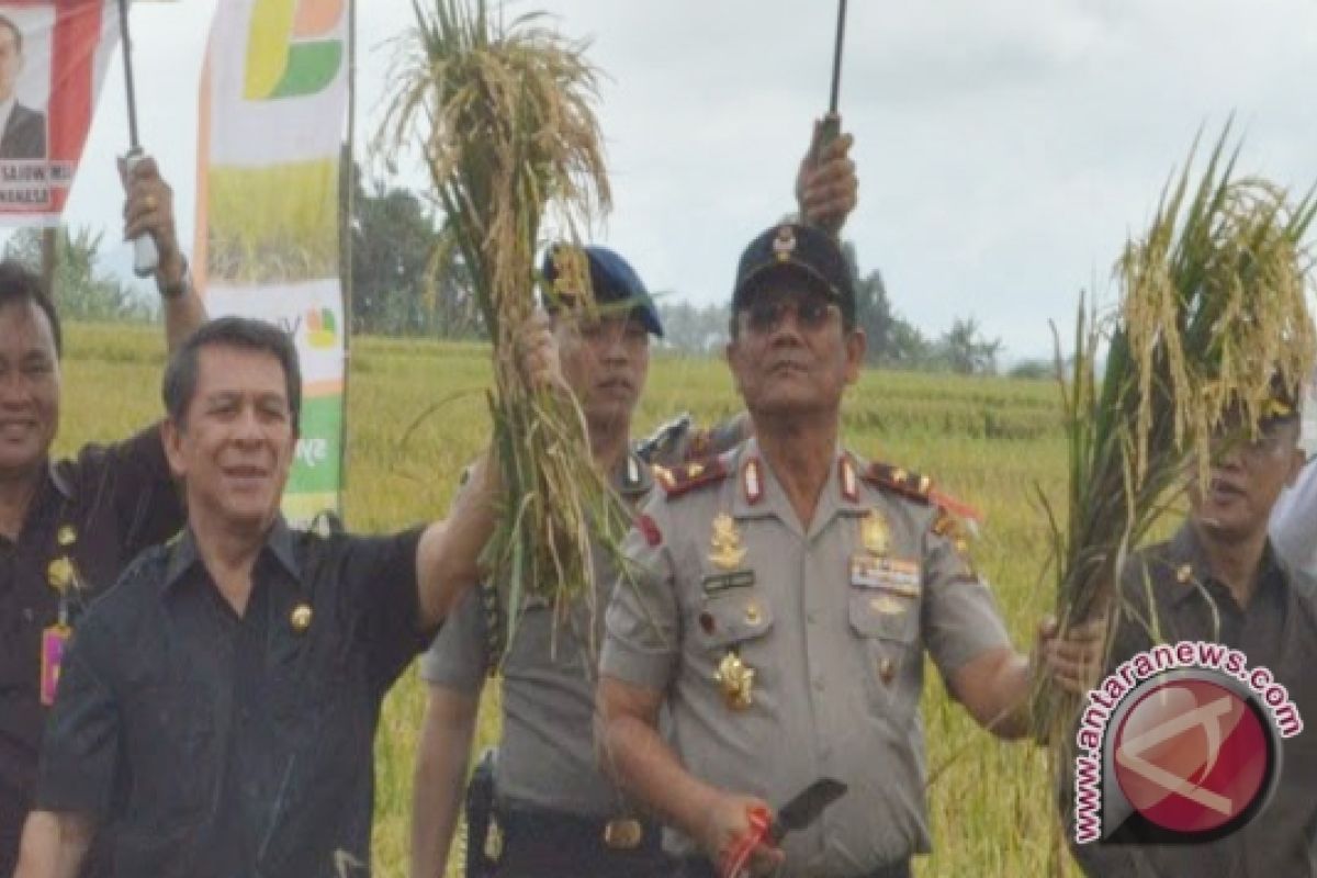 Pemprov: Panen raya turunkan harga beras Sulut 