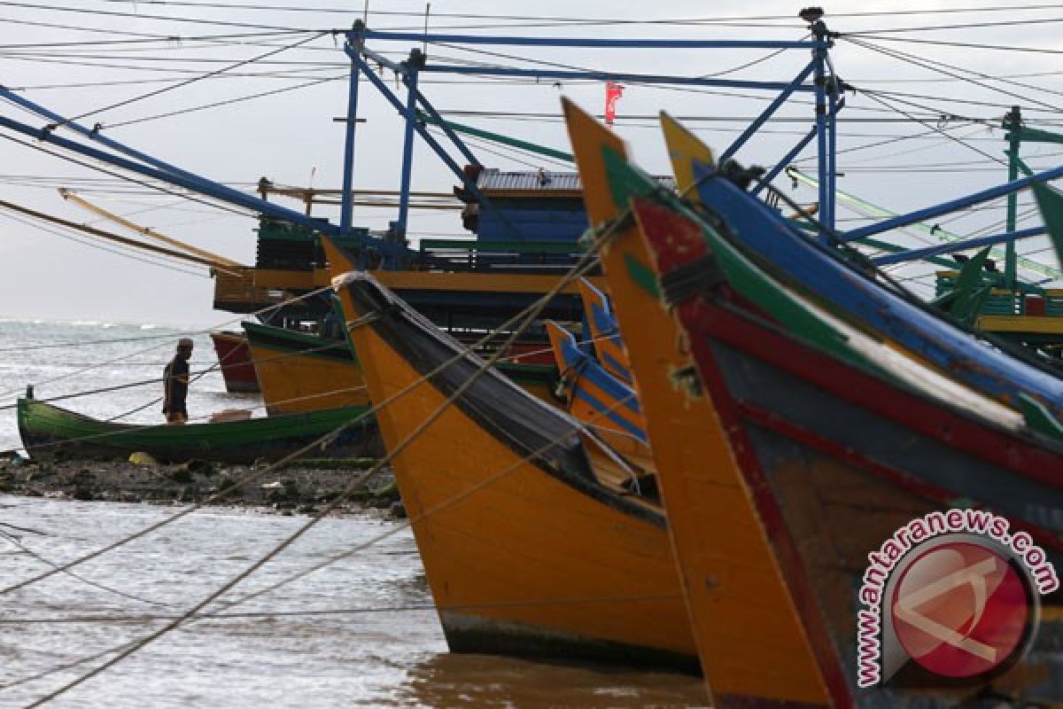 Harga ikan mas capai Rp40.000 per kilogram