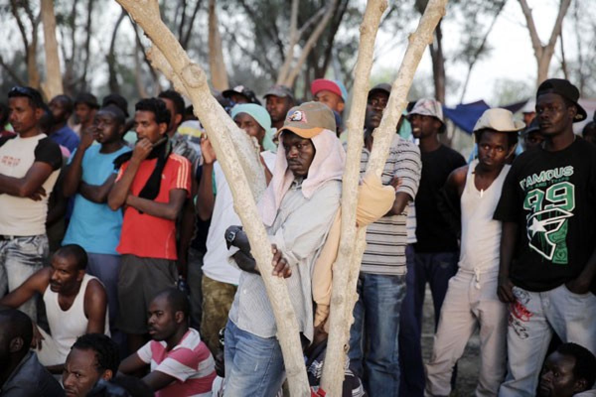 IOM: Sembilan juta migran tinggal di Mesir