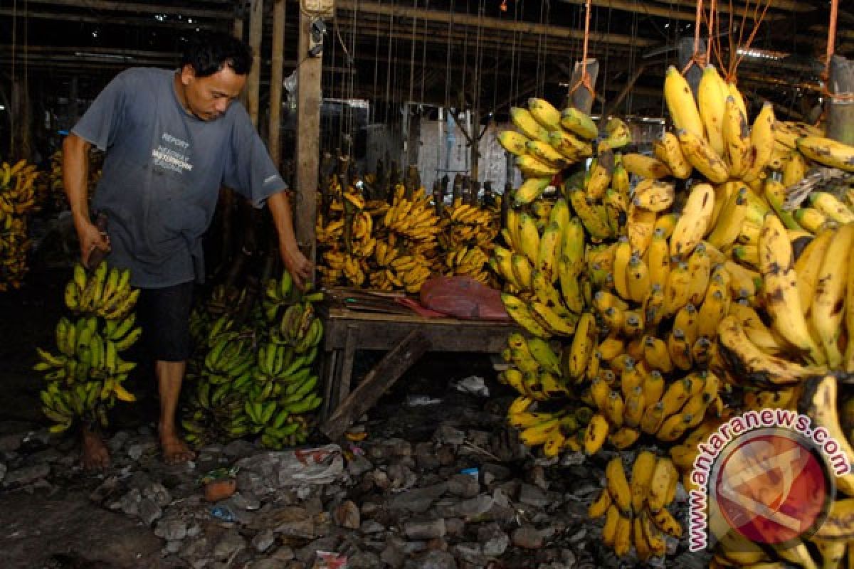 Pisang produk unggulan Lebak