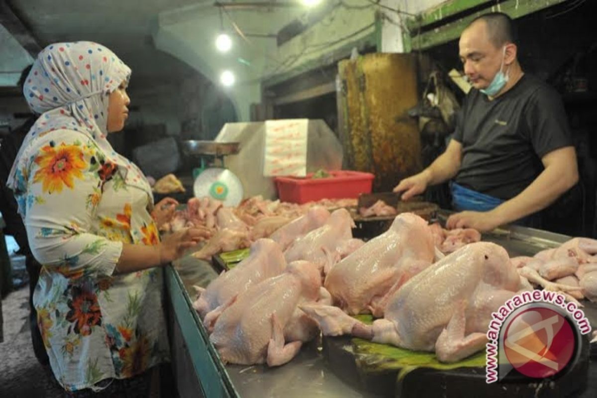 Harga daging ayam di Palembang Rp35.000/kg