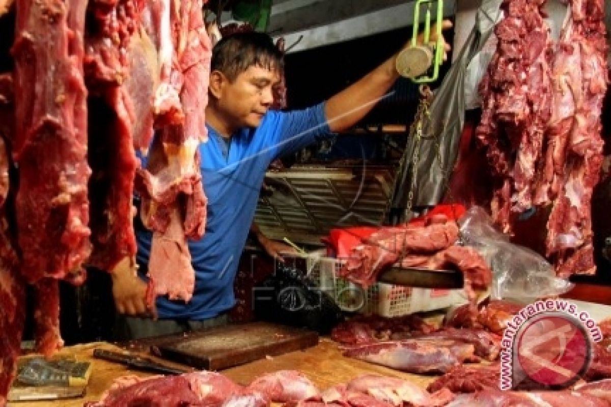 Harga daging sapi segar di Ambon bertahan