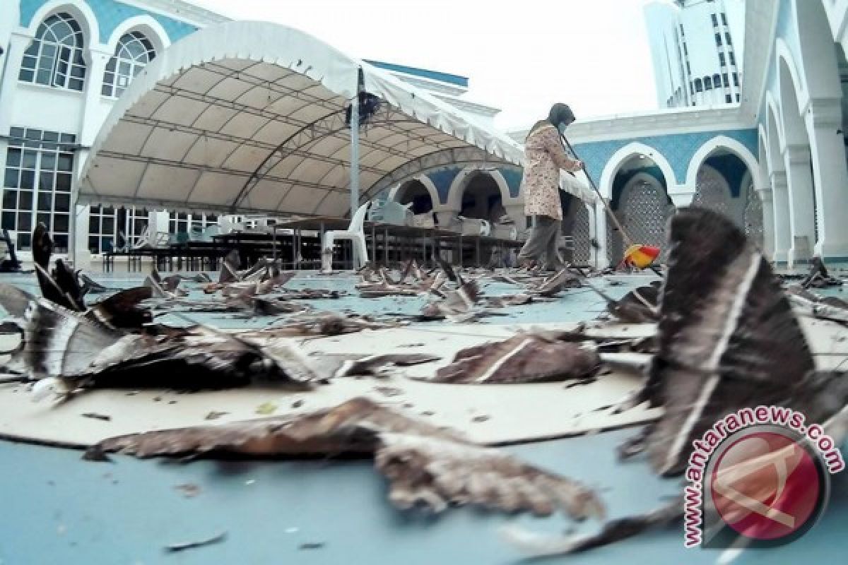 "Kupu-kupu malam" resahkan warga Batam