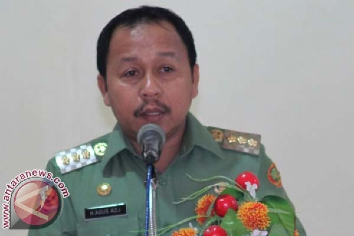 Bupati Mamuju Utara Belum Pikirkan Persiapan Pilkada 