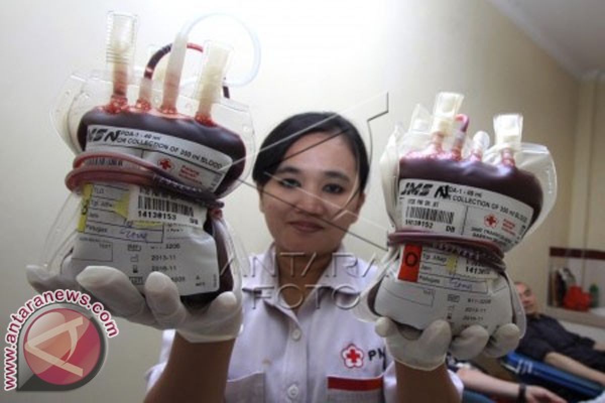 Indonesia Kekurangan 1,3 Juta Kantong Darah per Tahun