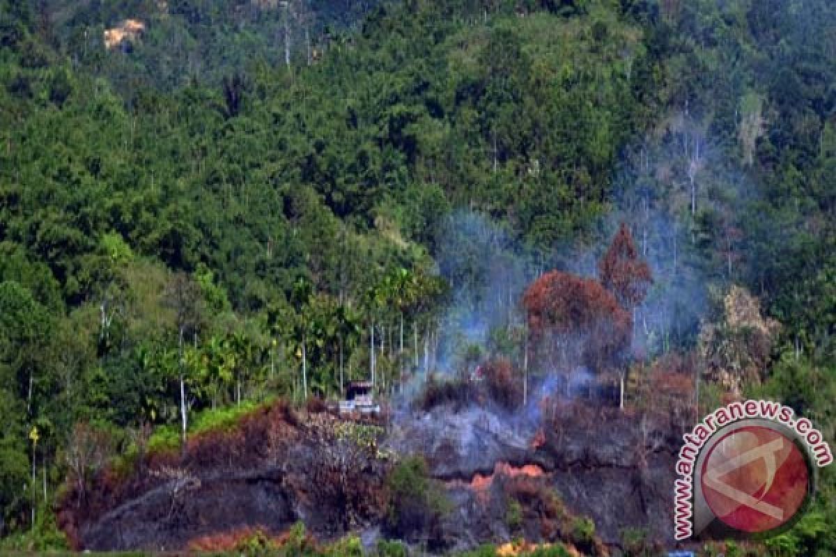 Walhi: pemerintah harus siaga kebakaran hutan