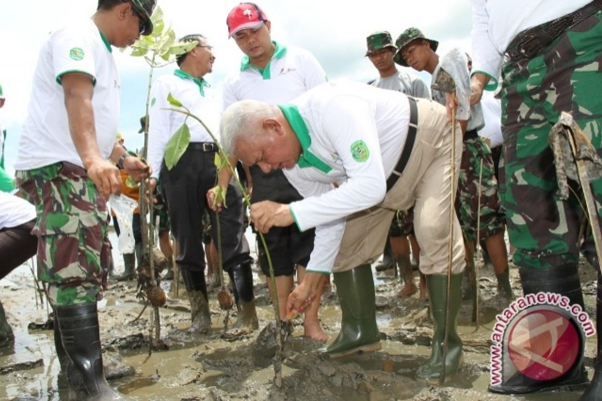  Panaman Mangrove di Kaltim Capai 12 Juta Pohon