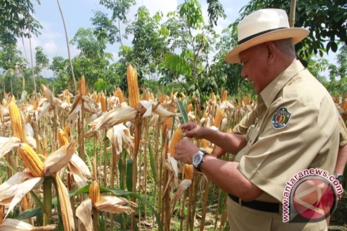  Perusahaan Tambang Wajib Kembalikan Lahan Pada Pemerintah