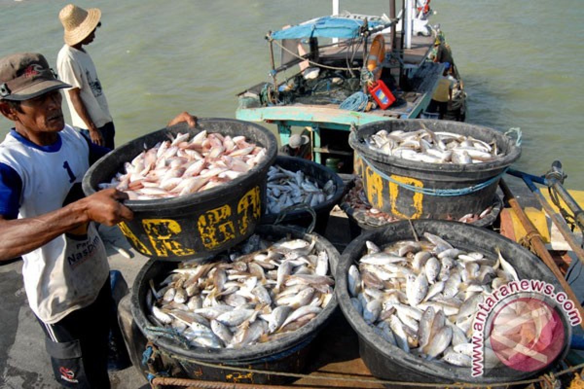 Pendapatan petani ikan Sleman terbesar secara nasional