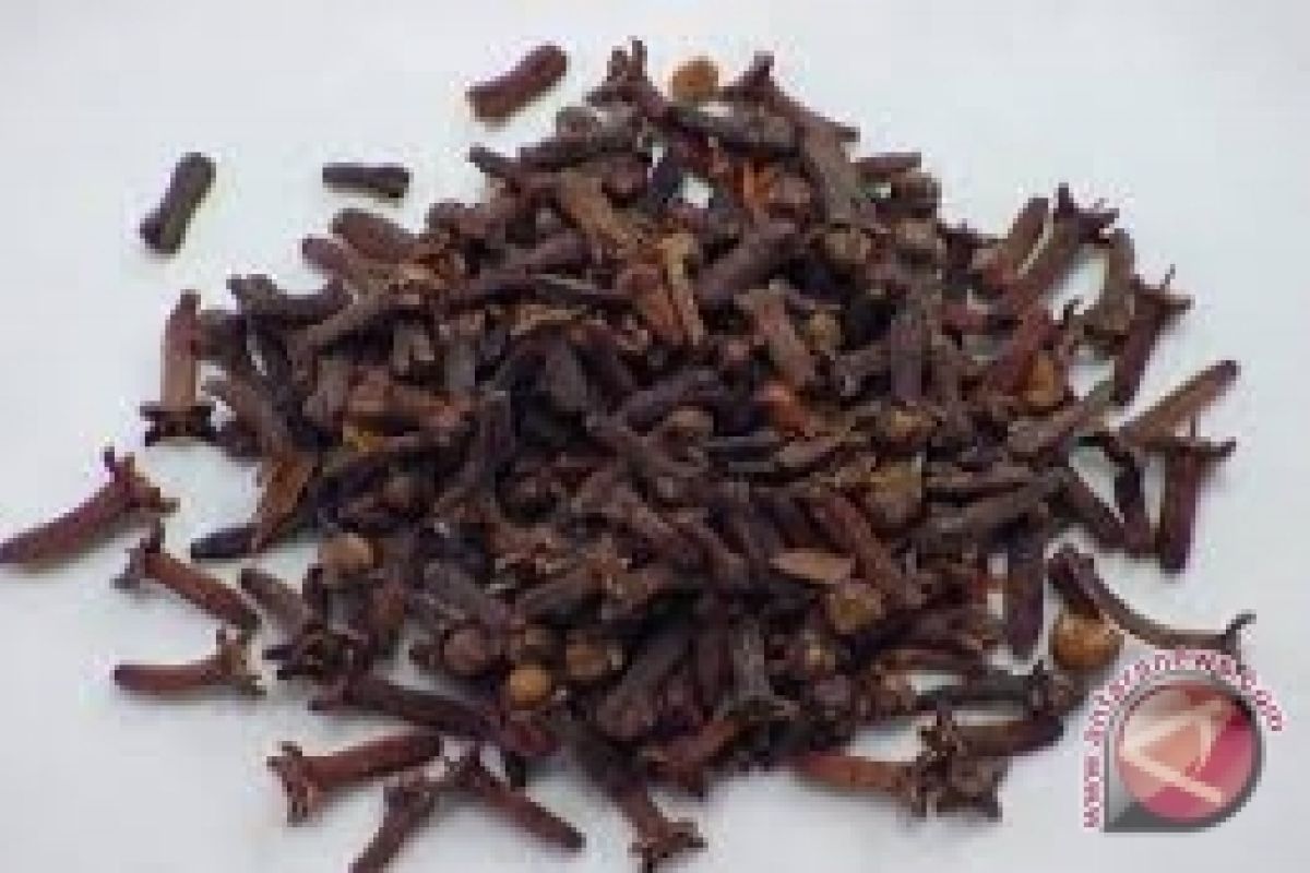 North Sulawesi exports cloves to Japan 
