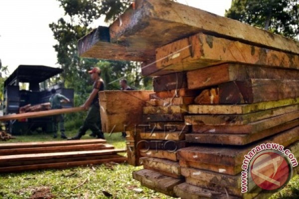 Pamhut Gagalkan Pengiriman Kayu Seludupan